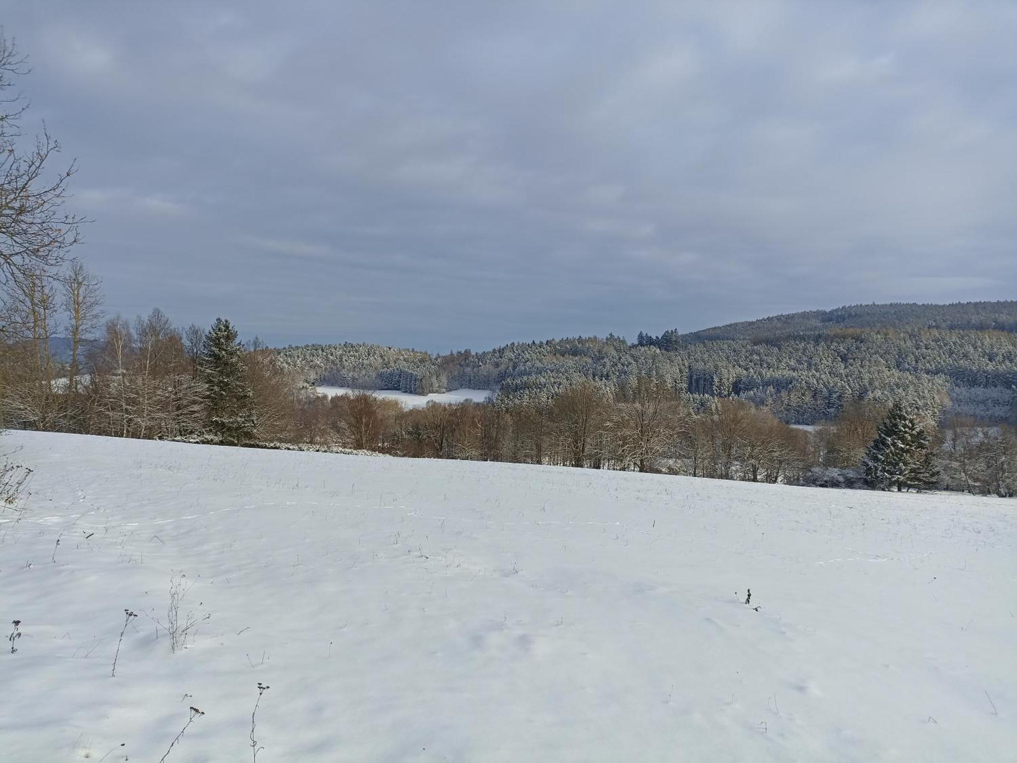 Chalupa V Ceskem Lese Bela nad Radbuzou Exterior foto