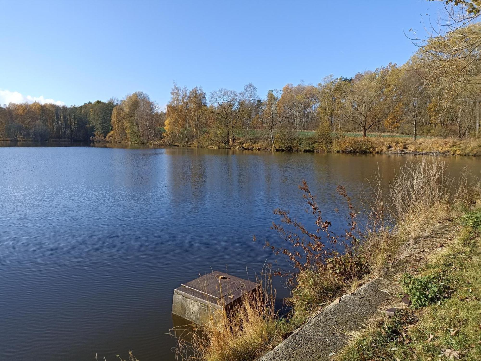 Chalupa V Ceskem Lese Bela nad Radbuzou Exterior foto